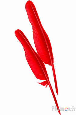 Schwan Schreibfeder - 33-36 cm - rot